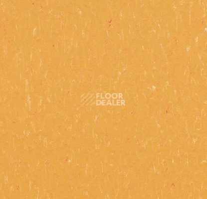 Линолеум Forbo Marmoleum Solid Piano 3622-362235 mellow yellow фото 1 | FLOORDEALER